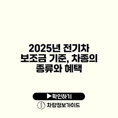 2025년 전기차 보조금 기준, 차종의 종류와 혜택