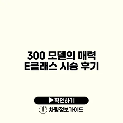 300 모델의 매력 E클래스 시승 후기