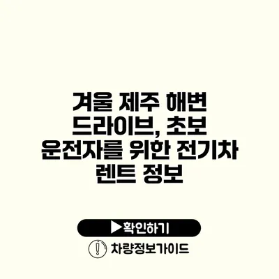 겨울 제주 해변 드라이브, 초보 운전자를 위한 전기차 렌트 정보