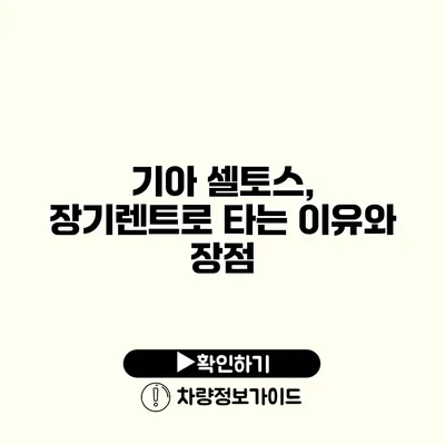 기아 셀토스, 장기렌트로 타는 이유와 장점