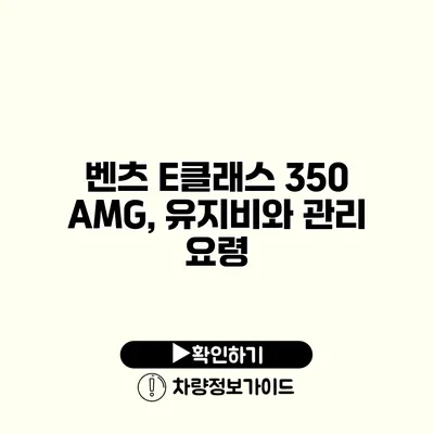 벤츠 E클래스 350 AMG, 유지비와 관리 요령