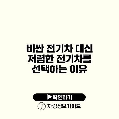비싼 전기차 대신 저렴한 전기차를 선택하는 이유
