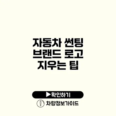 자동차 썬팅 브랜드 로고 지우는 팁