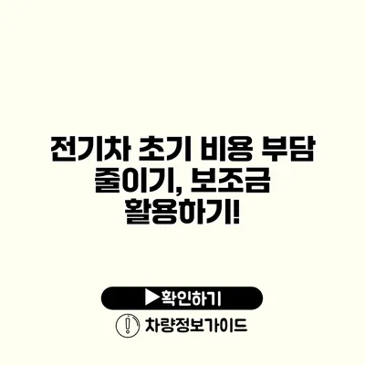 전기차 초기 비용 부담 줄이기, 보조금 활용하기!