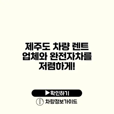 제주도 차량 렌트 업체와 완전자차를 저렴하게!