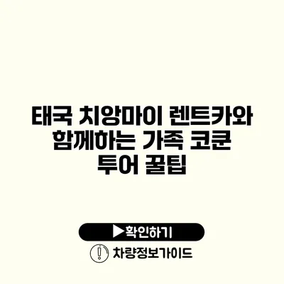 태국 치앙마이 렌트카와 함께하는 가족 코쿤 투어 꿀팁